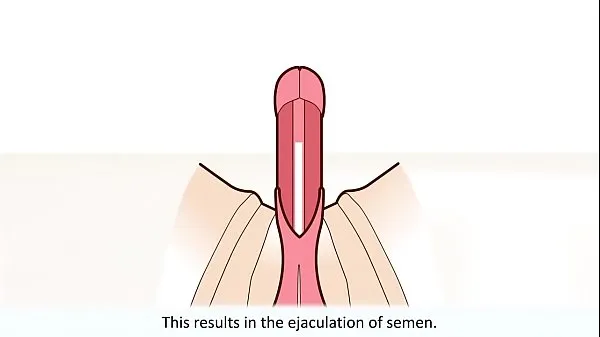Prikaži The male orgasm explained posnetke pogona