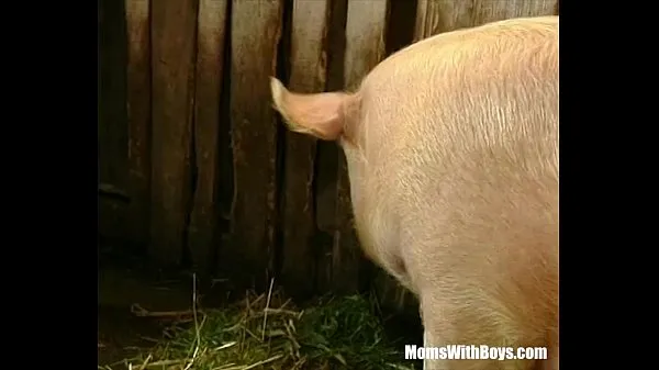 Brunette Lady Farmer Hairy Pussy Barn Fucked meghajtó klip megjelenítése
