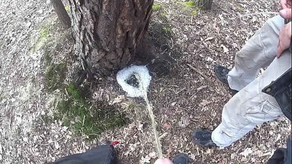 Show boys pissing together a big foamy puddle at a tree drive Clips