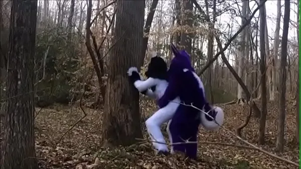 Näytä Fursuit Couple Mating in Woods ajoleikettä
