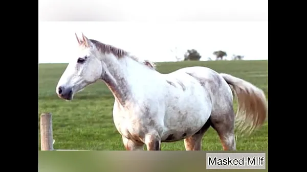 Prikaži Horny Milf takes giant horse cock dildo compilation | Masked Milf posnetke pogona